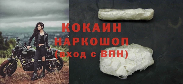 прущие грибы Богородск