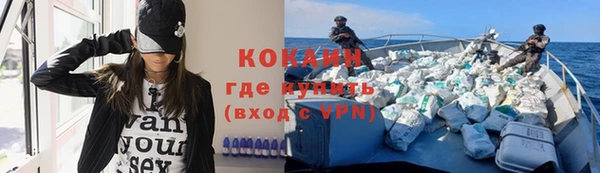бошки Бородино