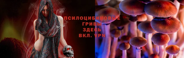 MDMA Богданович