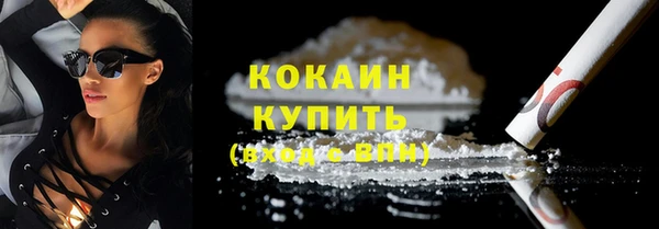 бошки Бородино