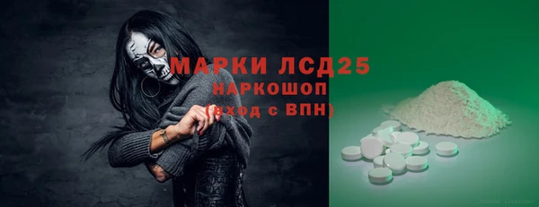 бошки Бородино