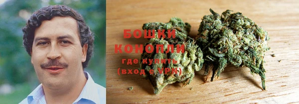 прущие грибы Богородск