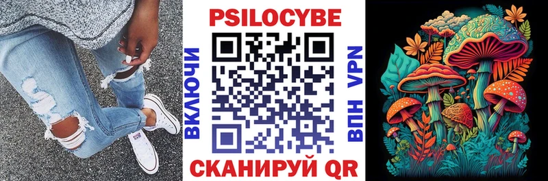 hydra ссылка  Отрадная  Псилоцибиновые грибы Psilocybe 