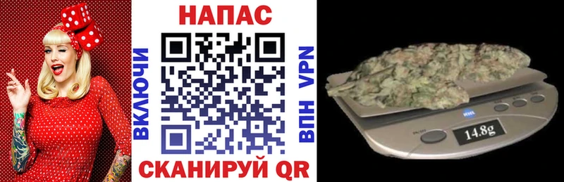 где купить наркотик  Отрадная  Шишки марихуана планчик 